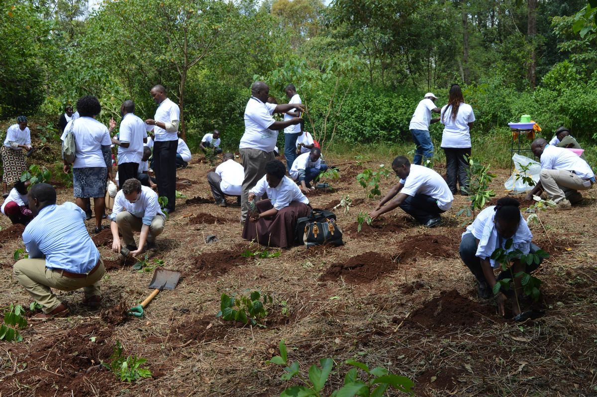 Community Service
